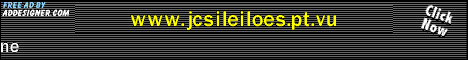 JCSi Leilões